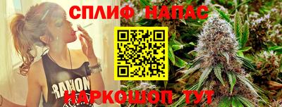 хмурый Дубна